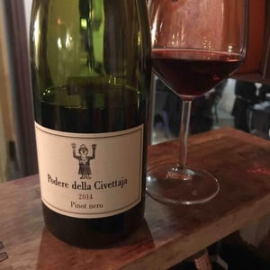 Pinot Nero - Podere della Civettaja - vincenzo-tommasi-lucia-stefani-alessio-puccini