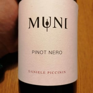 Pinot Nero - Muni Di Daniele Piccinin - daniele-piccinin