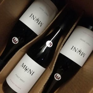 Pinot Nero - Muni Di Daniele Piccinin - daniele-piccinin