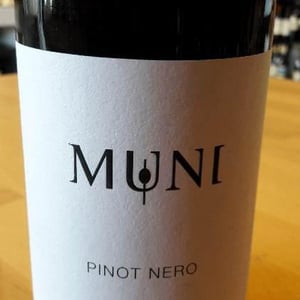 Pinot Nero 2016