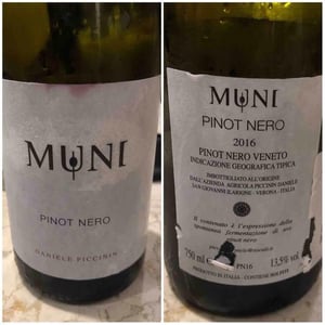 Muni Di Daniele Piccinin - Daniele Piccinin - Pinot Nero