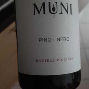 Pinot Nero - Muni Di Daniele Piccinin - daniele-piccinin