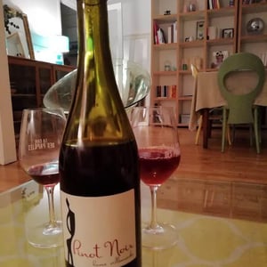 Pinot Noir 2017