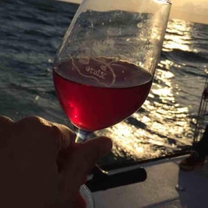 Hervé Villemade - Hervé Villemade - Pinot Noir