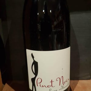 Pinot Noir - Hervé Villemade - herve-villemade