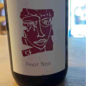 Pinot Noir 2020 - Domaine Geschickt - Arnaud Geschickt & Aurélie Fayolle