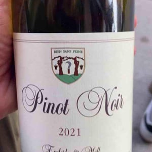 Pinot Noir - Enderle & Moll - florian-moll-max-lecat