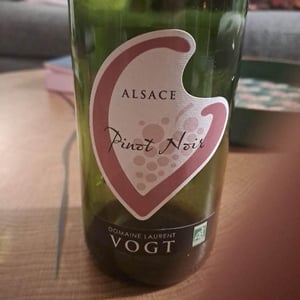 Pinot Noir - Laurent Vogt - laurent-vogt -2021