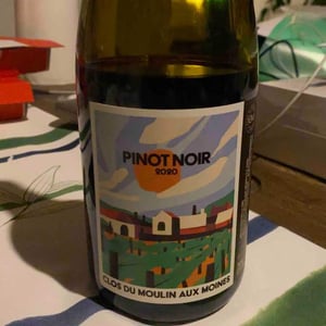 Pinot Noir - Clos Du Moulin Aux Moines - Willy Roulendes & Famille Andrieu 