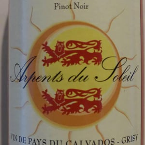 Pinot Noir - Arpents Du Soleil - gerard-samson -2018
