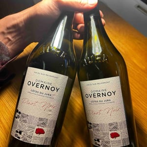 Pinot Noir - Domaine Overnoy - Guillaume Overnoy 