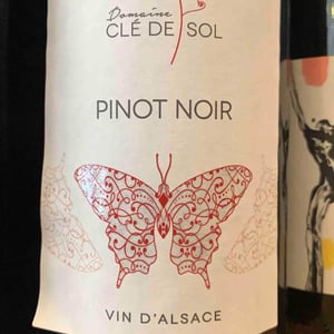 Pinot Noir - Domaine Clé de Sol - jean-simon-baltenweck-yannick-mignot