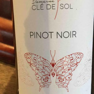 Pinot Noir - Domaine Clé de Sol - jean-simon-baltenweck-yannick-mignot
