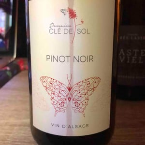 Pinot Noir - Domaine Clé de Sol - Jean & Simon Baltenweck & Yannick Mignot 