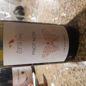 Pinot Noir - Domaine Clé de Sol - jean-simon-baltenweck-yannick-mignot
