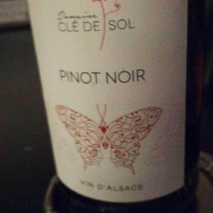 Pinot Noir - Domaine Clé de Sol - Jean & Simon Baltenweck & Yannick Mignot 
