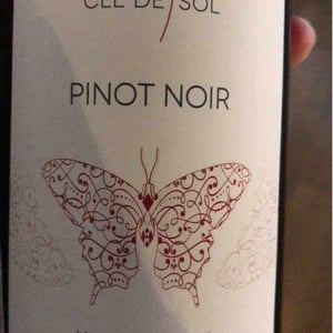 Pinot Noir - Domaine Clé de Sol - jean-simon-baltenweck-yannick-mignot