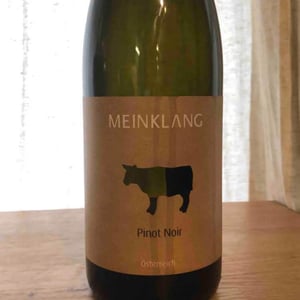Pinot Noir - Meinklang - Weingut Michlits - Angela & Werner Michlits 