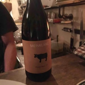 Pinot Noir - Meinklang - Weingut Michlits - angela-werner-michlits