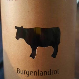 Pinot Noir - Meinklang - Weingut Michlits - Angela & Werner Michlits 