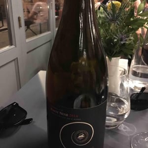 Pinot Noir - Domaine Des Fenouillèdes - jean-louis-denois