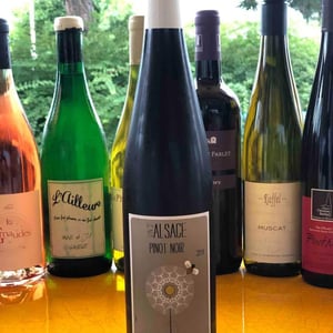 Pinot Noir - Vincent Fleith - brigitte-et-vincent-fleith