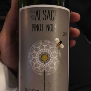 Pinot Noir - Vincent Fleith - Brigitte et Vincent Fleith 