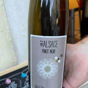 Pinot Noir - Vincent Fleith - brigitte-et-vincent-fleith