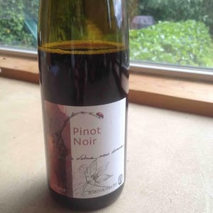 Domaine Kleinknecht - André Kleinknecht - Pinot Noir