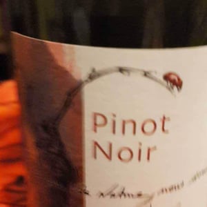 Domaine Kleinknecht - André Kleinknecht - Pinot Noir