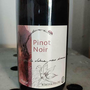 Pinot Noir - Domaine Kleinknecht - André Kleinknecht 