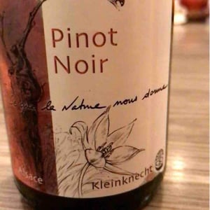 Domaine Kleinknecht - André Kleinknecht - Pinot Noir