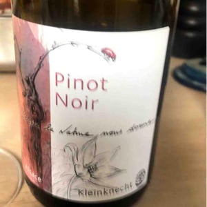 Pinot Noir - Domaine Kleinknecht - André Kleinknecht 