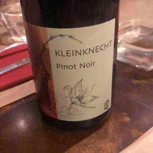 Pinot Noir - Domaine Kleinknecht - André Kleinknecht 