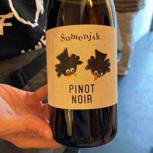 Pinot Noir 2020 - Kmetija Sumenjak - Srečko Šumenjak -2020