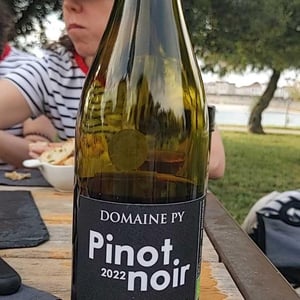 Pinot Noir 2022