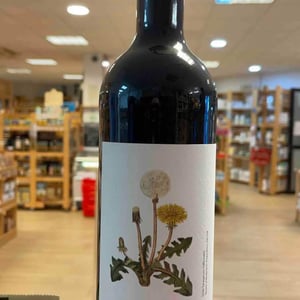 Pinot Noir - Bodegas Schatz - Friedrich Schatz 