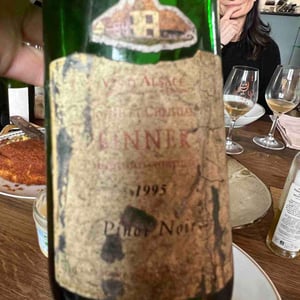 Pinot Noir - Domaine Christian Binner - Christian Binner et son équipe 