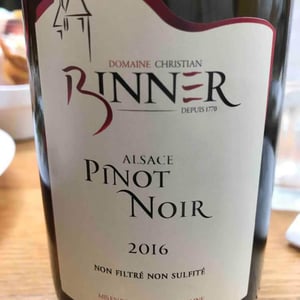 Pinot Noir - Domaine Christian Binner - Christian Binner et son équipe 