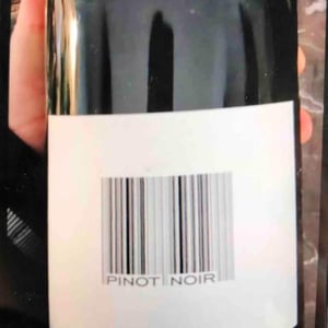 Pinot Noir - Domaine des Maisons Brûlées - Corinne & Paul Gillet 