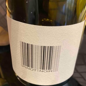 Pinot Noir - Domaine des Maisons Brûlées - Corinne & Paul Gillet 