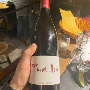 Pinot Noir - Sarnin-Berrux - Jean-Pascal Sarnin & Jean-Marie Berrux 