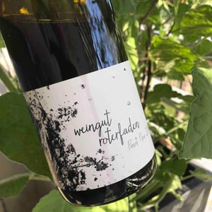 Pinot Noir - Weingut Roterfaden - Olympia Samara & Hannes Hofmann 