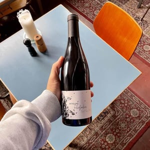 Pinot Noir - Weingut Roterfaden - olympia-samara-hannes-hofmann