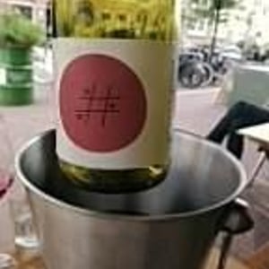 Pinot Noir