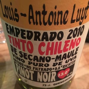 Pinot Noir - Agricola Luyt - Louis-Antoine Luyt 