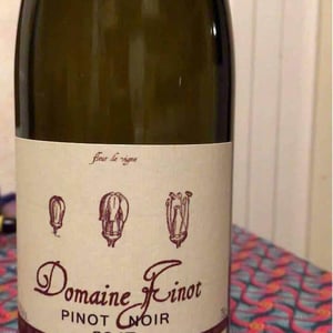 Pinot Noir - Domaine Finot - Thomas Finot 