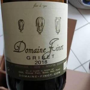 Pinot Noir - Domaine Finot - Thomas Finot 