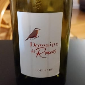 Pinot Noir - Domaine des Ronces - Michel & Kevin Mazier 