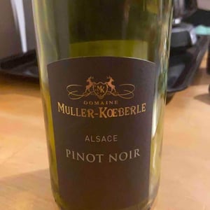 Pinot Noir - Domaine Muller-Koeberle - David Koeberle 
